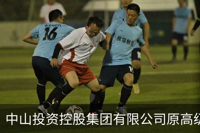 中山投资控股集团有限公司原高级顾问罗锐鸿严重违纪违法被“双开”
