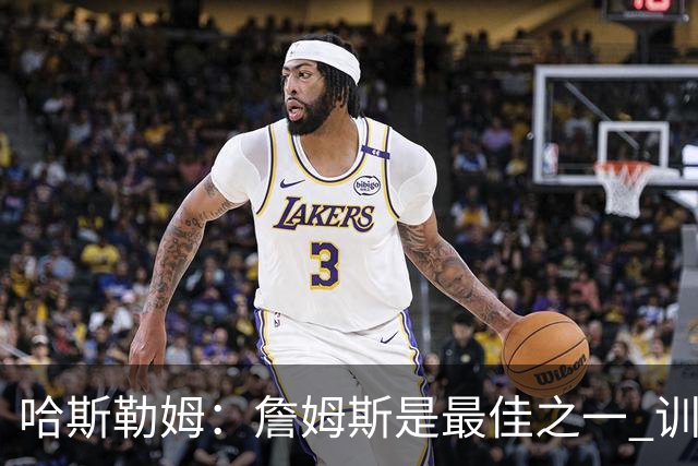 哈斯勒姆：詹姆斯是最佳之一 训练中他能让全队包括韦德都看呆