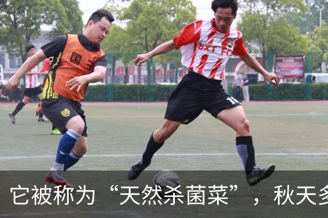 它被称为“天然杀菌菜”，秋天多吃，一预防感冒 ，二健脾开胃促消化