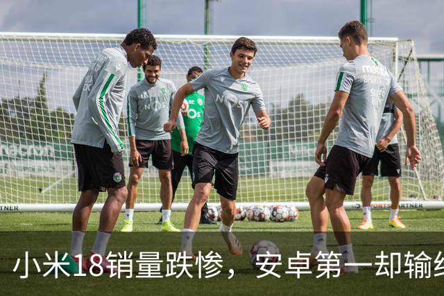 小米18销量跌惨，安卓第一却输给自家历史，这防窥屏真劝退用户了