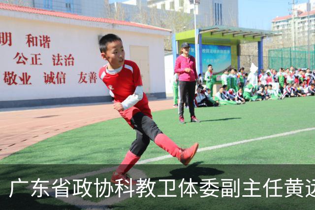 广东省政协科教卫体委副主任黄远通接受审查调查