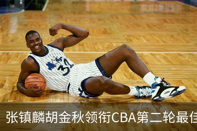 张镇麟胡金秋领衔CBA第二轮最佳阵容 付豪篮板称王