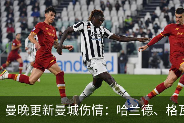 曼晚更新曼城伤情：哈兰德、格瓦可以出战维拉，塞梅尼奥12月回归