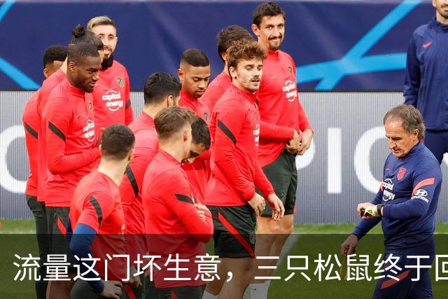 流量这门坏生意，三只松鼠终于回过味儿来了