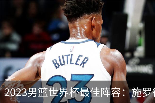 2023男篮世界杯最佳阵容：施罗德东契奇领衔